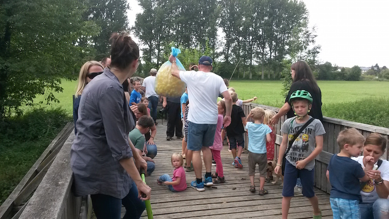 Enten 2016 1