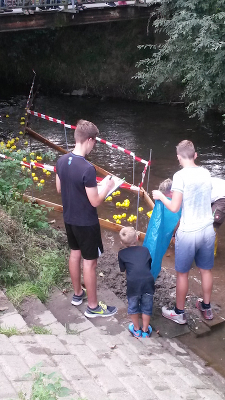 Enten 2016 3